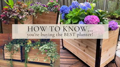 How to know the planter you buy is the BEST!