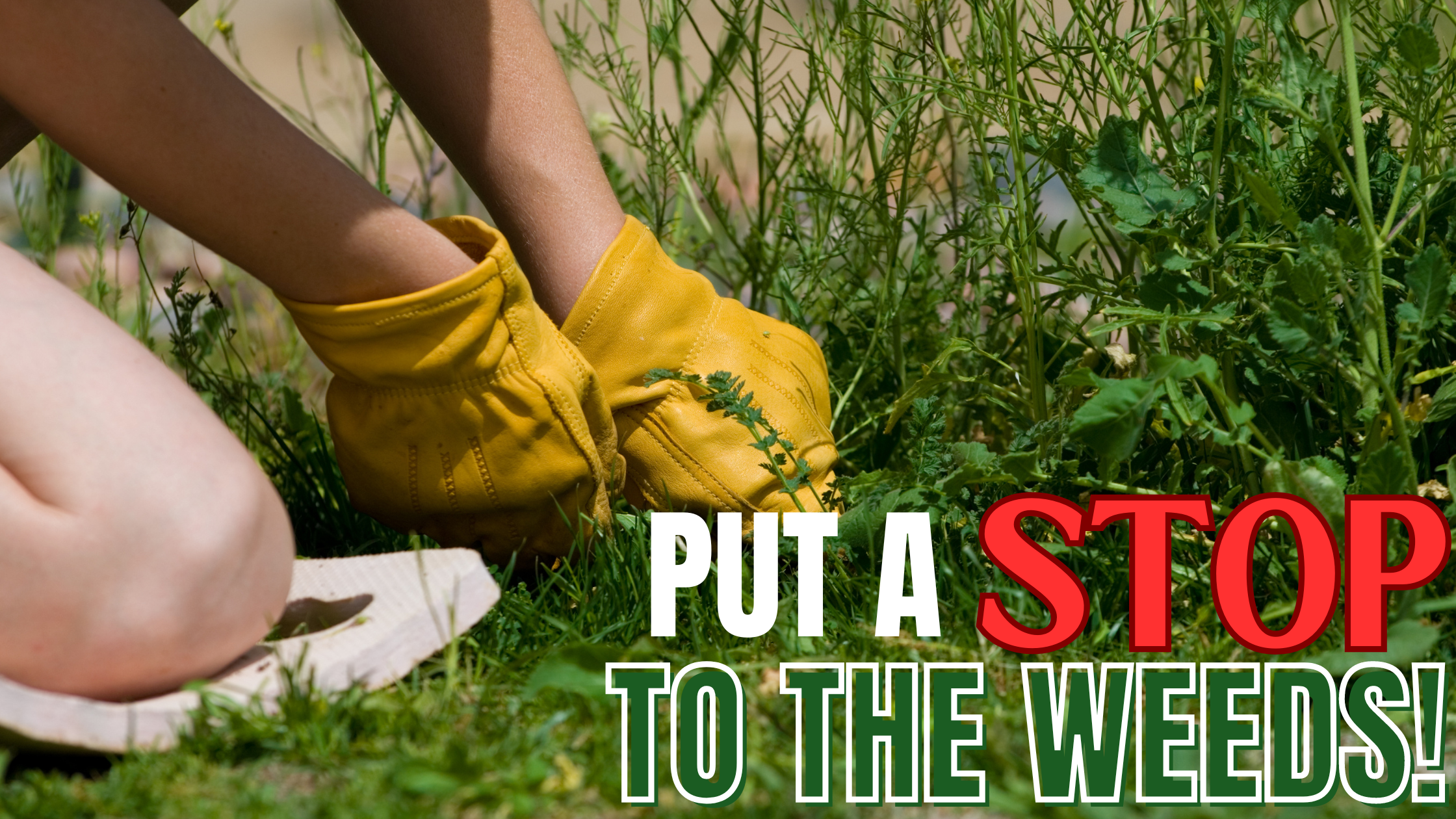 Organic Weed Control: Stop Weeds Naturally – Cedar Planters