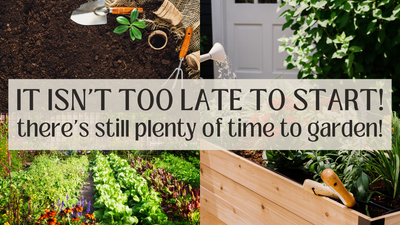It's not too late to start gardening!