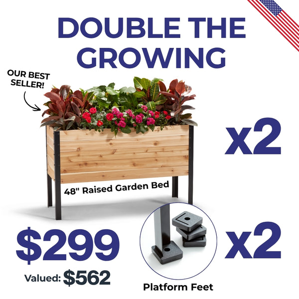 The July 4th Garden Duo