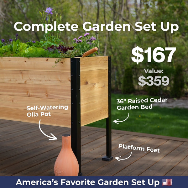 Red, White & Bloom Bundle