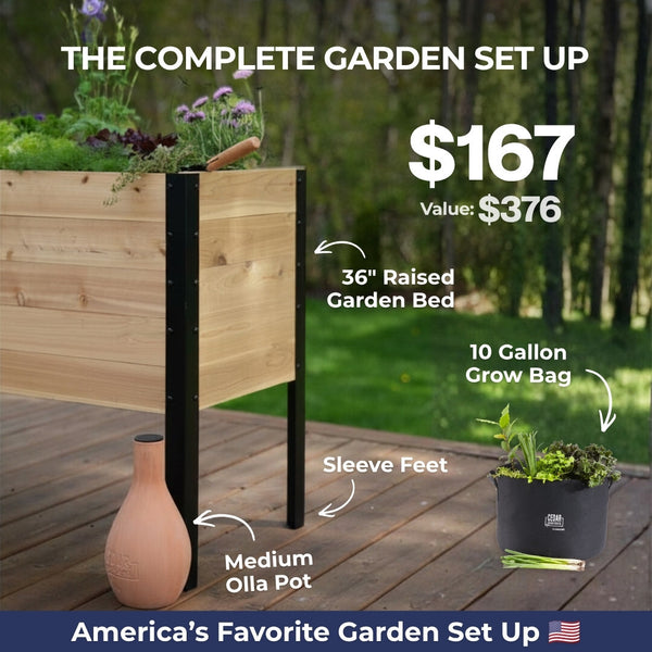 Red, White & Bloom Bundle