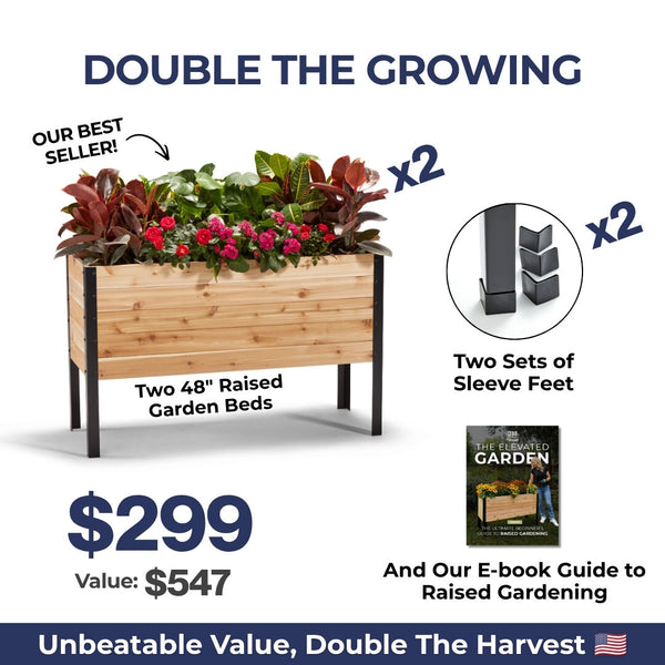 The July 4th Garden Duo