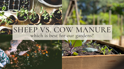 Sheep and Cow Manure in Your Garden! Who Knew?