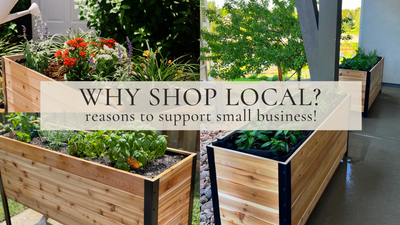 Shopping Local: What is it? Why do it?