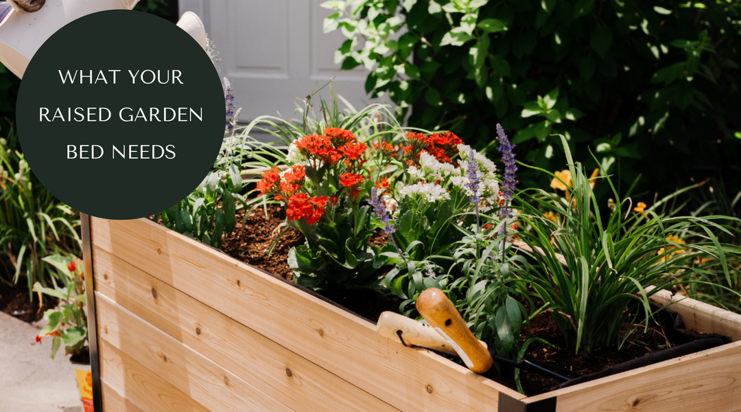 Your Top Raised Garden Bed Questions Answered