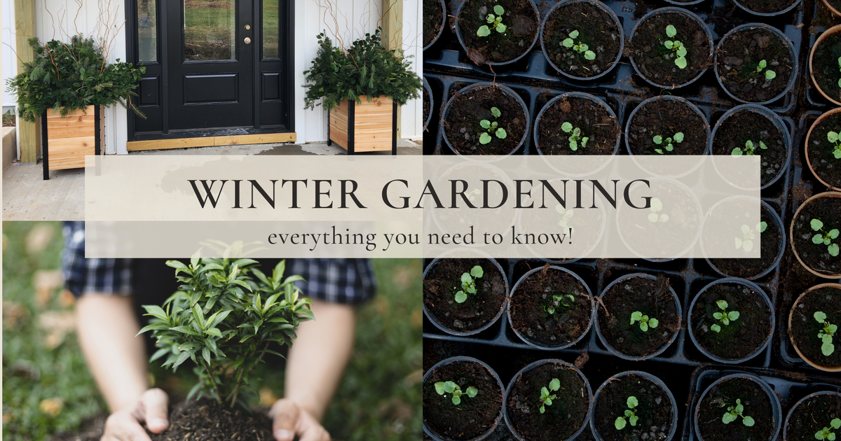 Winter Gardening Guide: Tips for Cold & Warm Zones  Cedar Planters
