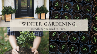 Winter Gardening - everything you need to know!