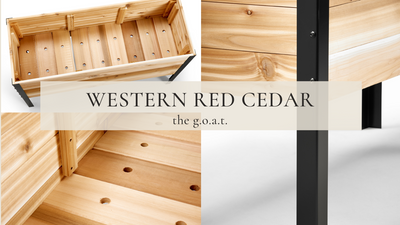 Why Western Red Cedar is the G.O.A.T.