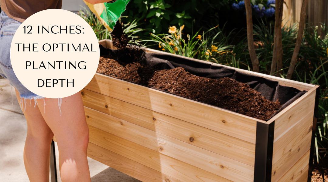 Understanding Soil Depth: Is 12 Inches Really Enough?