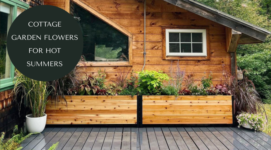 5 Heat Loving Cottage Garden Flowers for Summer