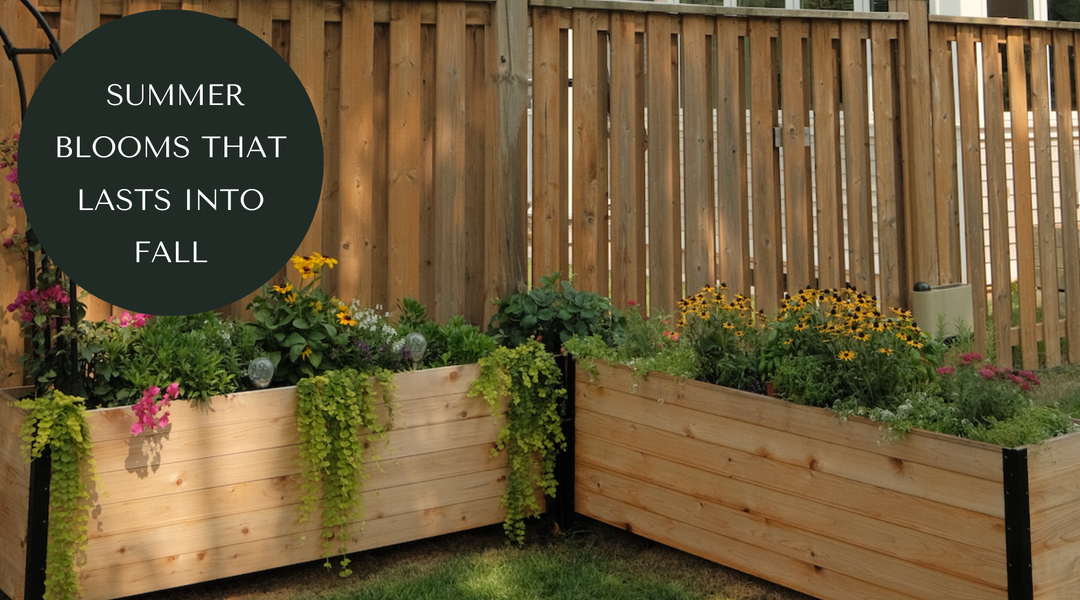 Perennials For Nonstop Summer Color That Lasts Well Into Fall