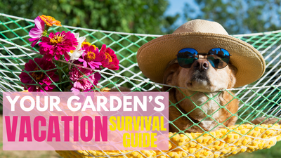 Your Garden's Vacation Survival Guide