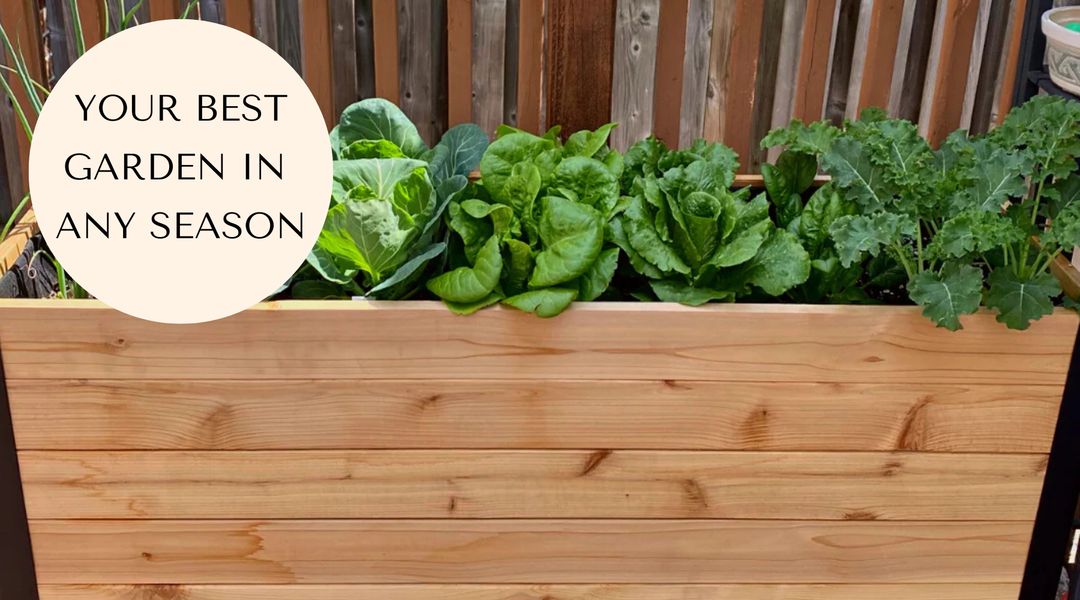 How to Grow a Full Raised Garden Harvest Every Season?