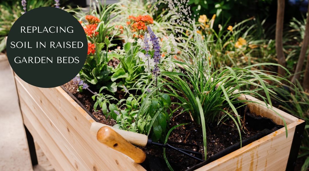 Do I need to replace the soil in my raised beds every year?