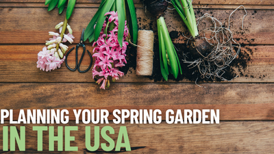 Planning Your Garden For Spring In The USA