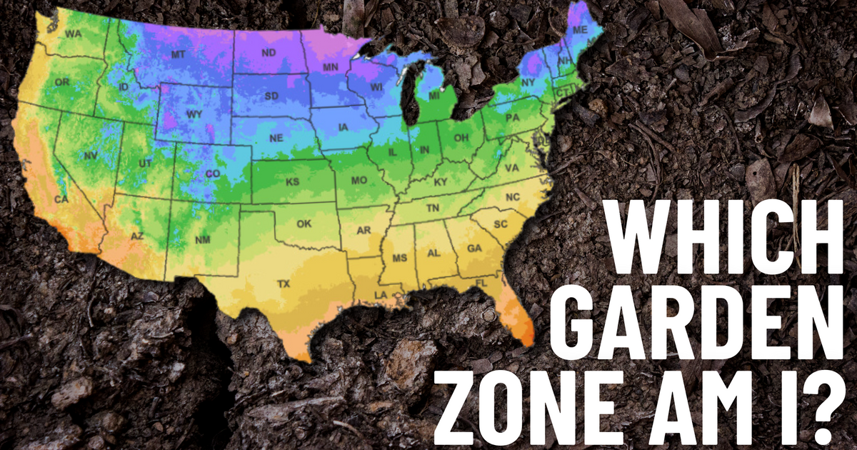 Find Your US Garden Zone: USDA Hardiness Map Guide  Cedar Planters