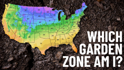 Which US Garden Zone Am I In?