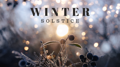 The Winter Solstice & What It Means For Your Garden