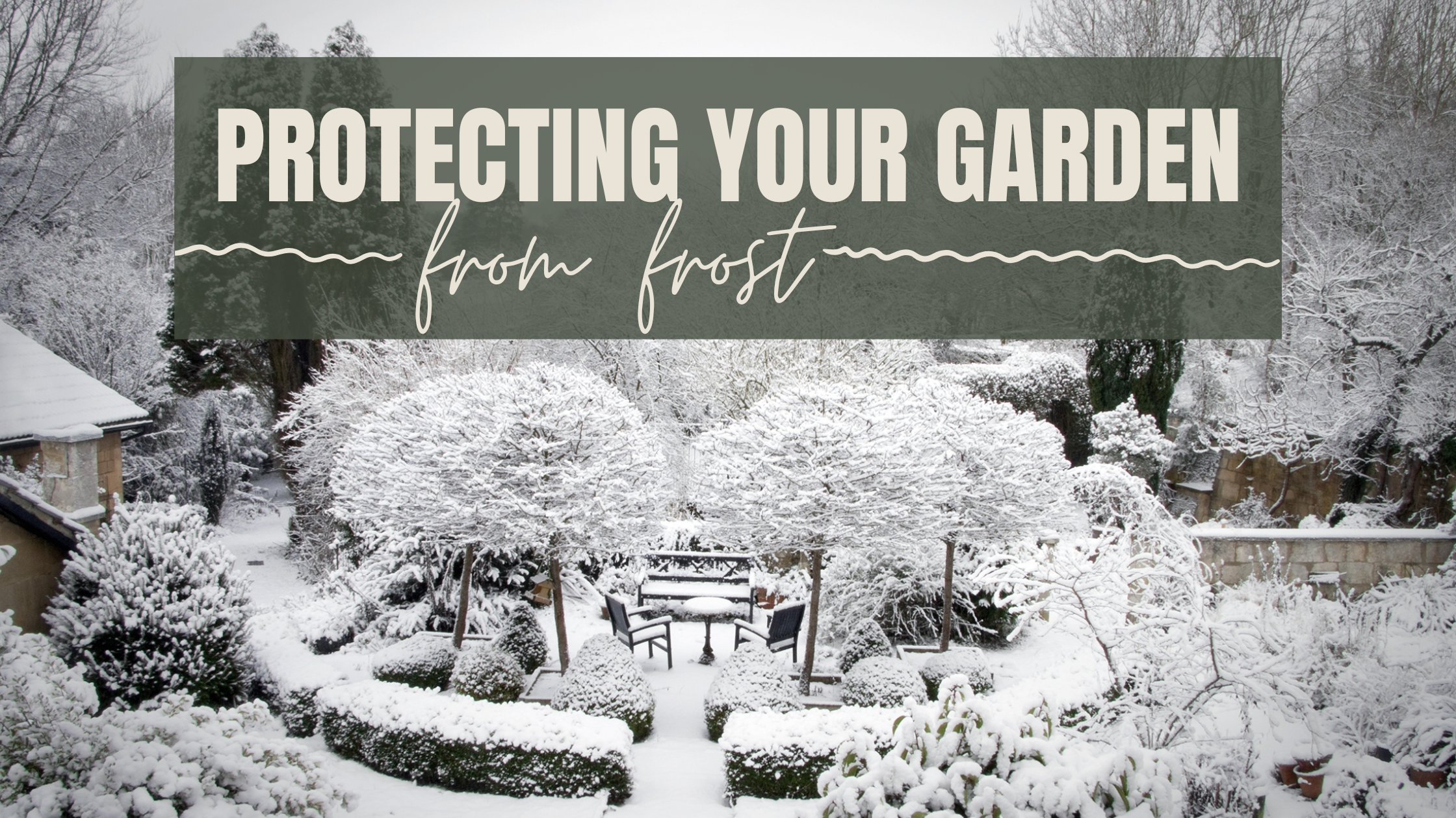 How to Protect Your Plants From Frost | Winter Garden Care – Cedar Planters