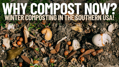 The Benefits of Winter Composting in the US