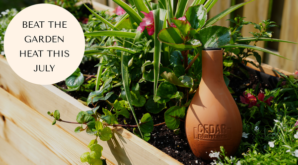 How to Combat July Heat in the Garden with Cedar