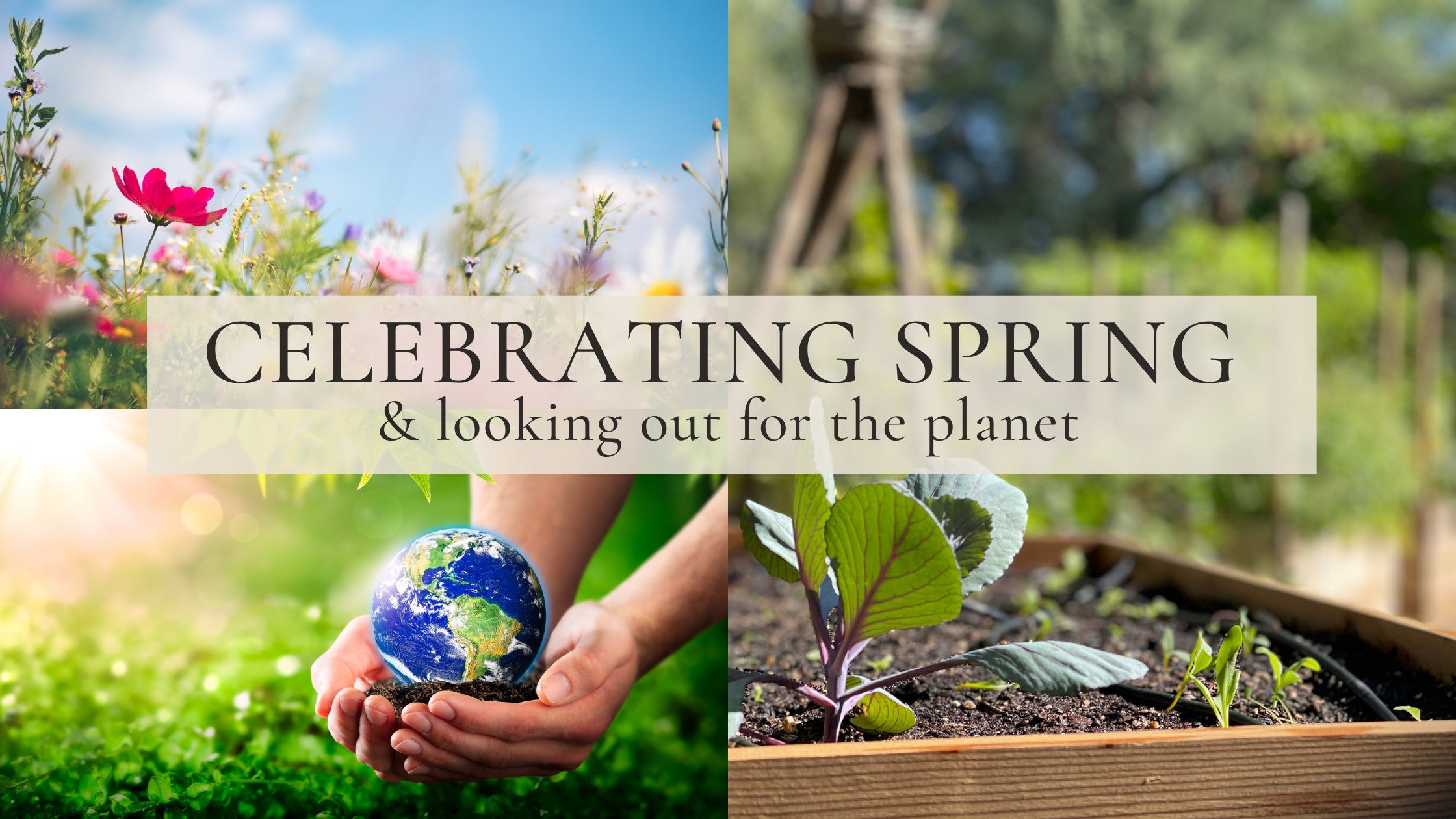 Community Celebrating Spring Celebrating Spring β Cedar Planters