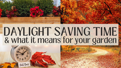 Daylight Saving Time & Your Garden