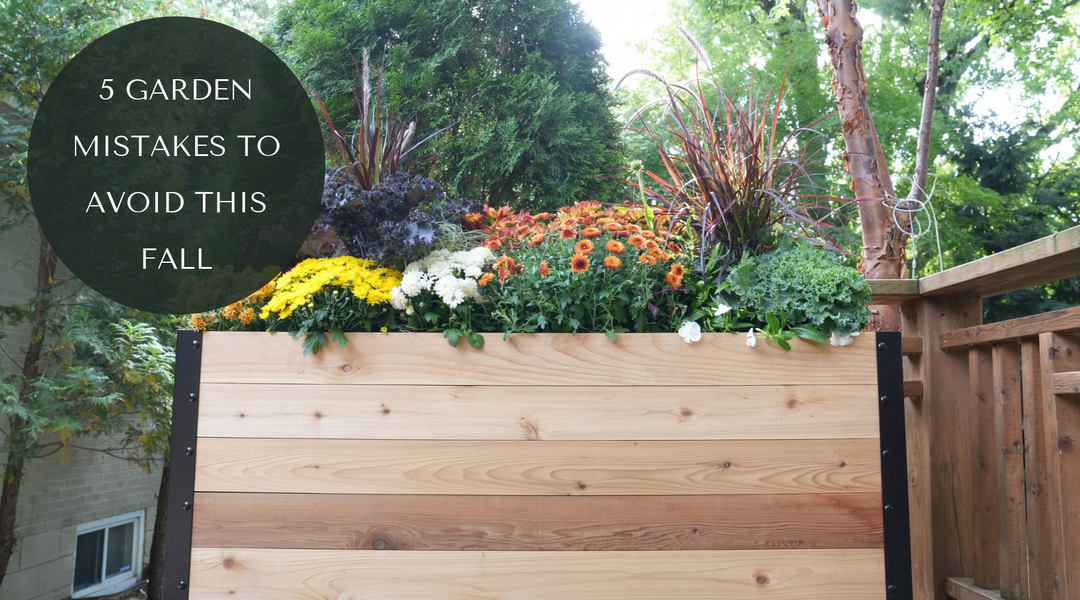 5 Fall Garden Mistakes That Cost You Time and Money