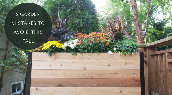5 Fall Garden Mistakes That Cost You Time and Money
