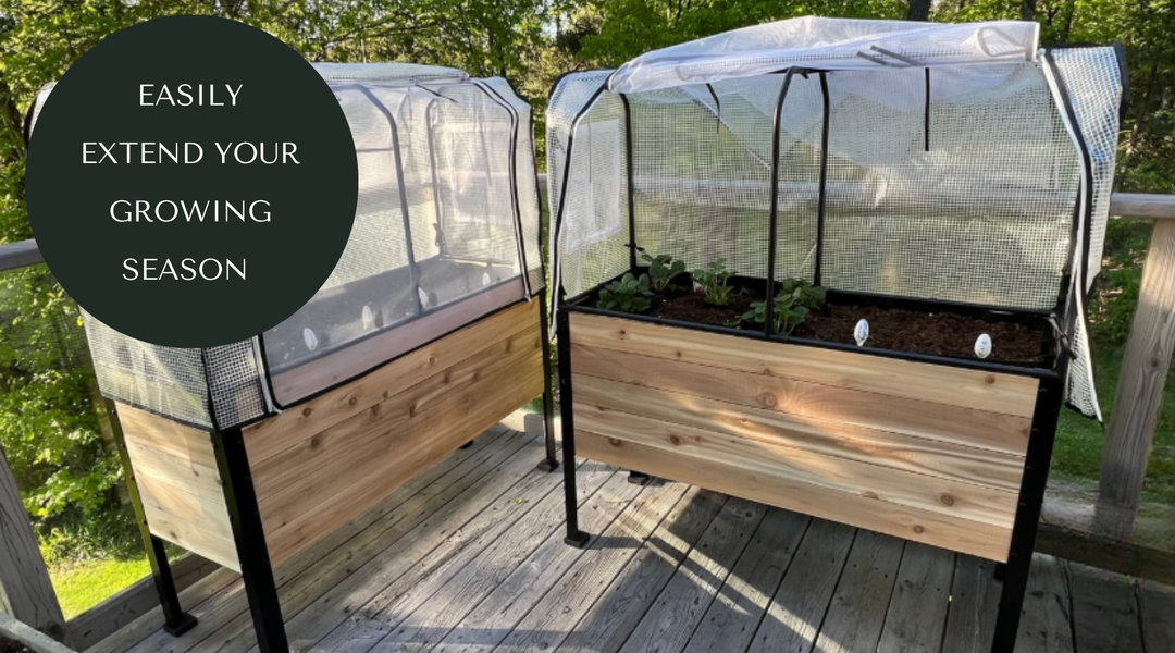 How Raised Beds and Greenhouse Covers Extend Your Season