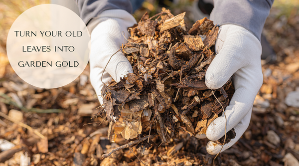 How to Turn Fall Leaves into Gardening Gold