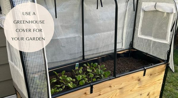 How to Extend Your Growing Season with a Greenhouse Cover