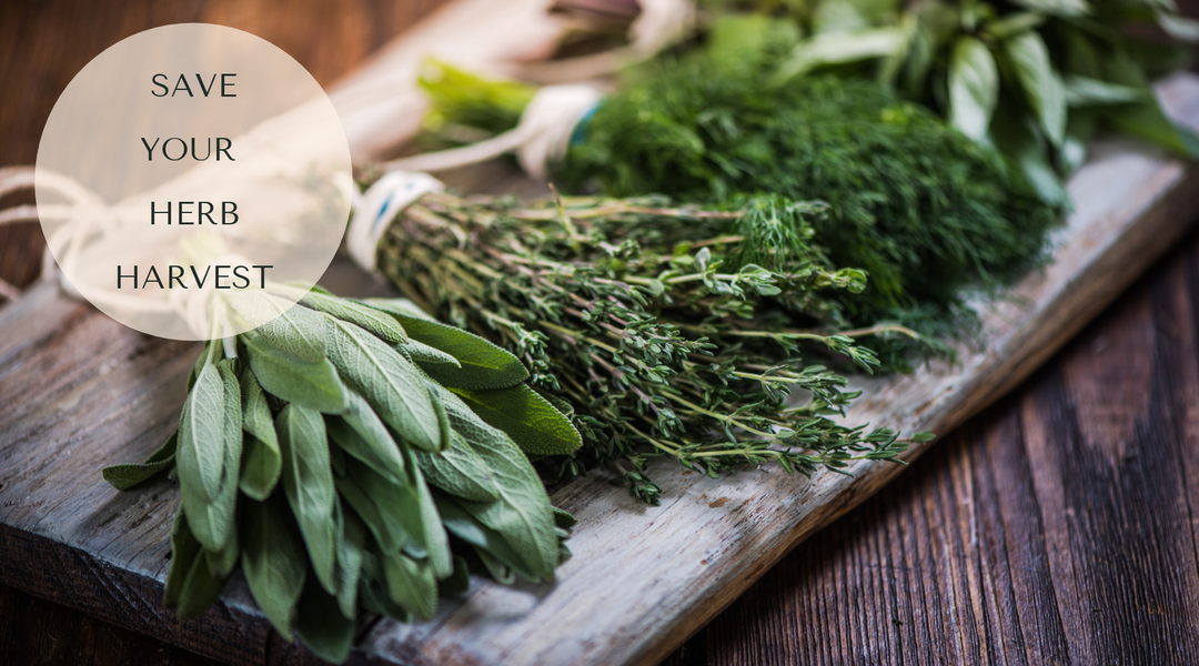 How to Dry Herbs: Easy Methods That Keep Flavor