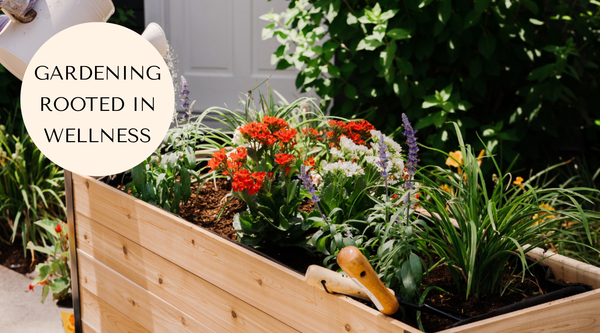 Why is Gardening Good for You? 5 Surprising Benefits
