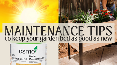 Summer Maintenance For Your Cedar Planters Raised Garden Bed
