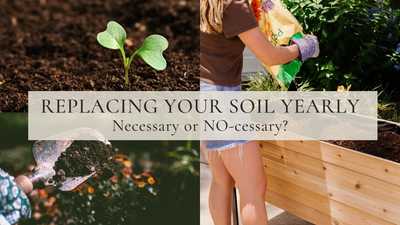 Replacing your soil every year: Necessary or NO-cessary?