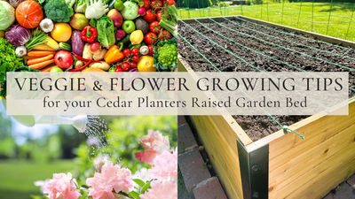 How To Plant Veggies & Flowers In Your Raised Garden Bed