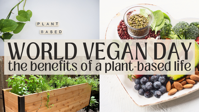 World Vegan Day & Raised Bed Gardening