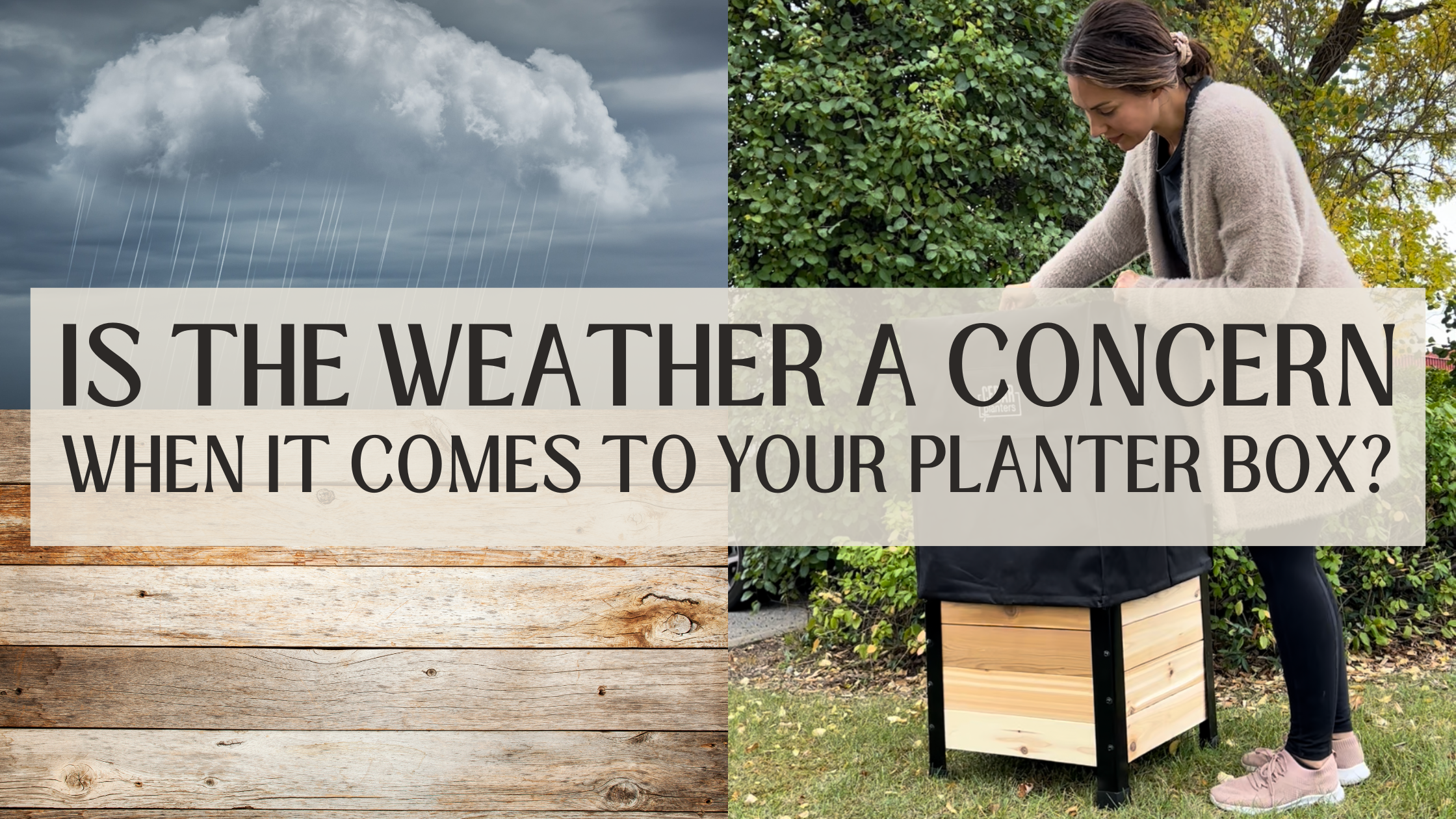 Raised Garden Beds & Weather: What You Need to Know – Cedar Planters