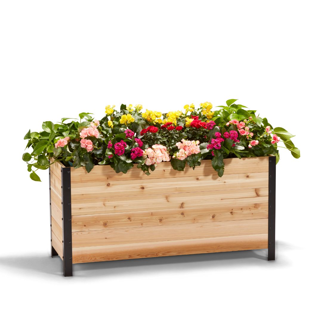 Explore Planter Boxes