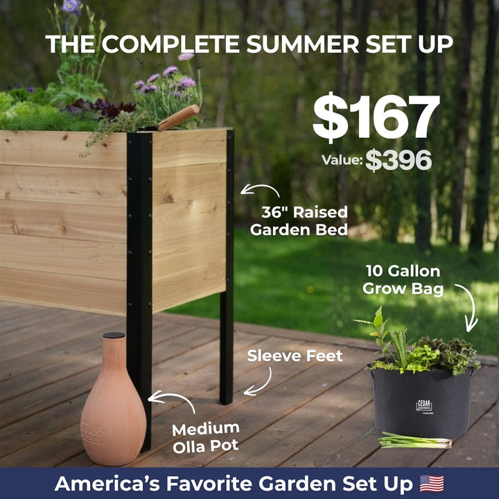 Summer Blowout Bundle
