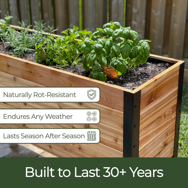 The Garden Success Kit
