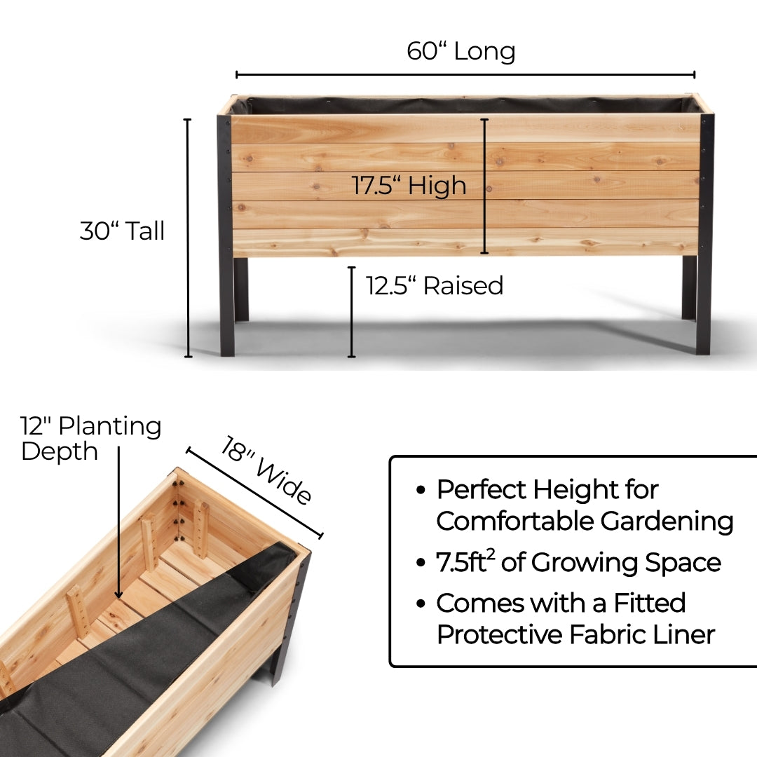 The 250th Garden Bundle