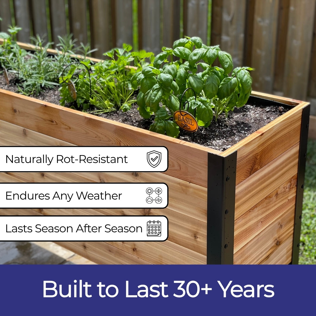 The 250th Garden Bundle