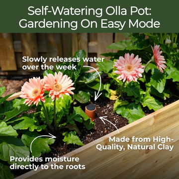 18" x 36" Raised Garden Bed + Sleeve Feet + Olla Pot + E-Book - Bundle