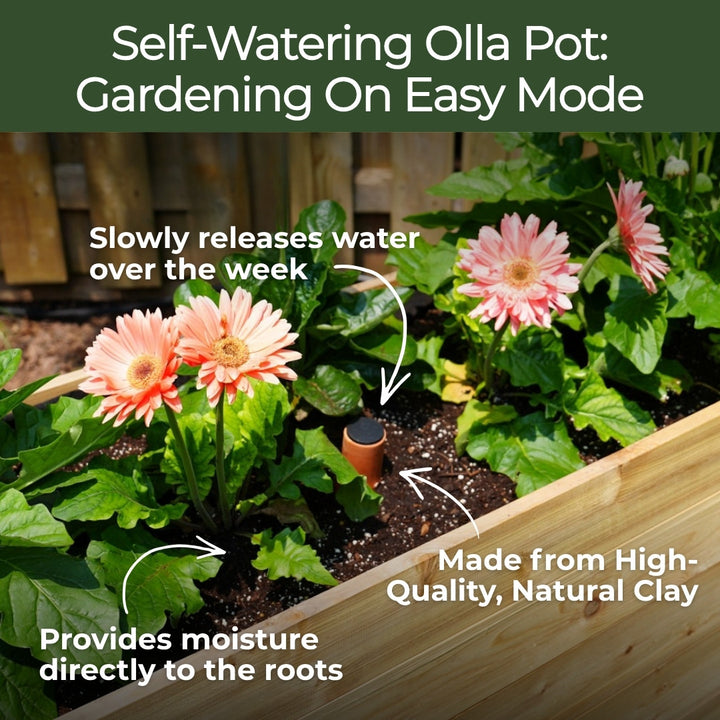 18" x 36" Raised Garden Bed + Sleeve Feet + Olla Pot + E-Book - Bundle