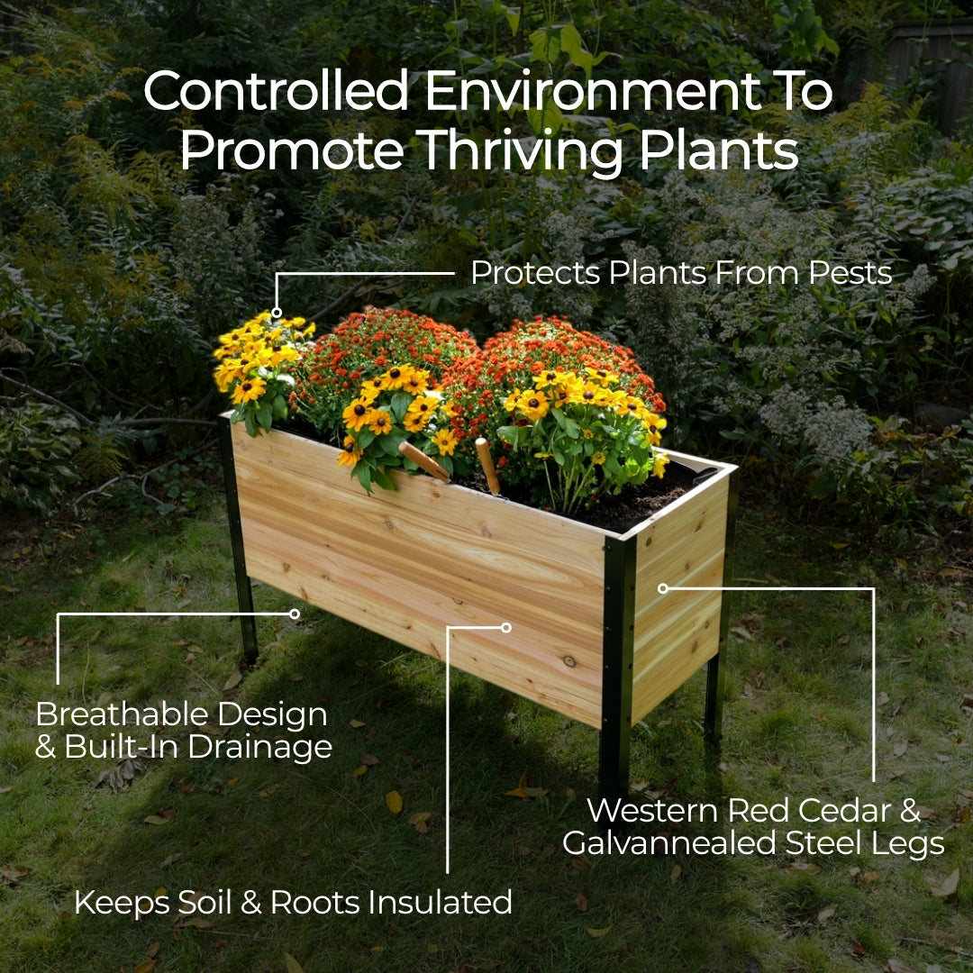 The 250th Garden Bundle
