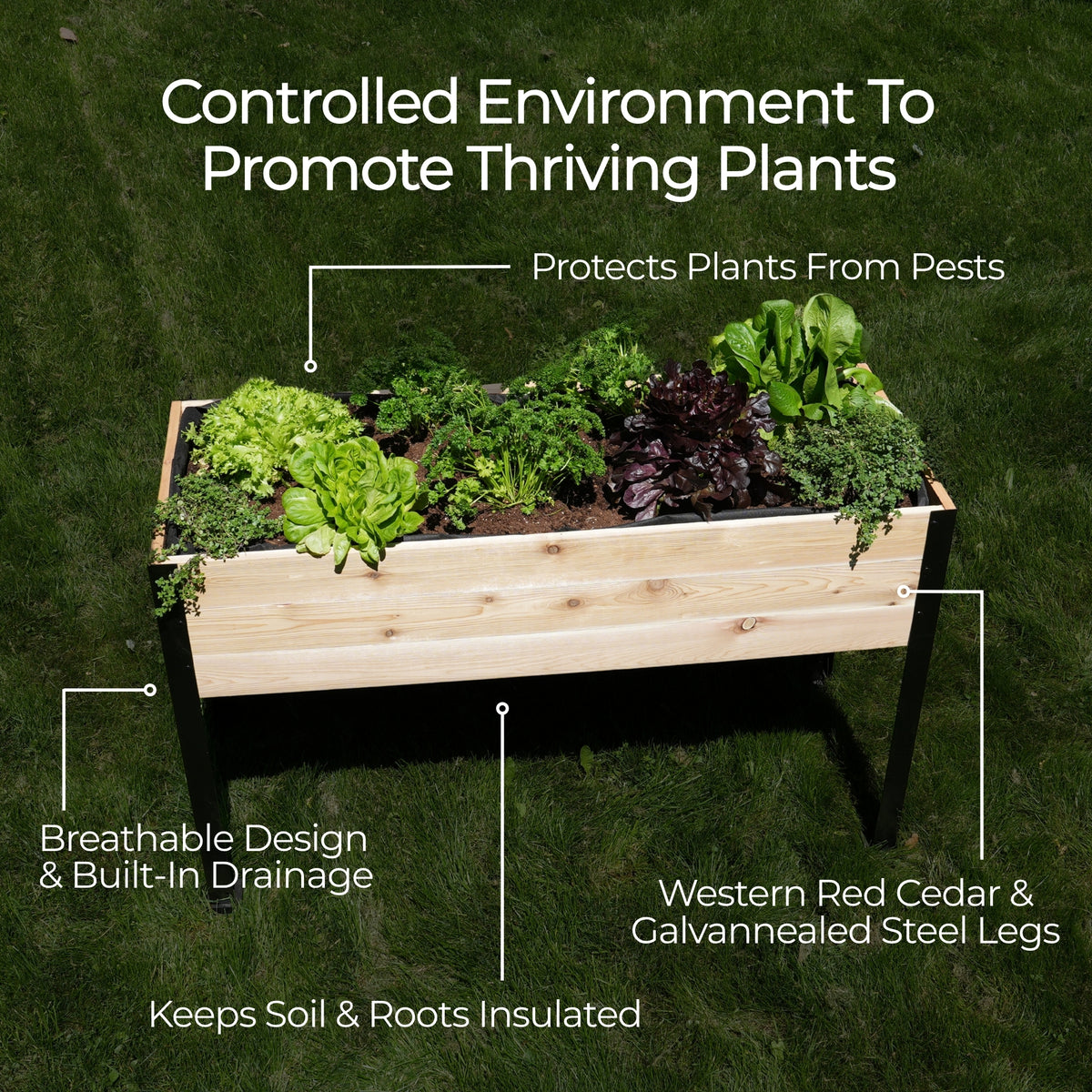 18″ x 48″ Shallow Root Raised Garden Bed - 30″ TALL / Select Grade