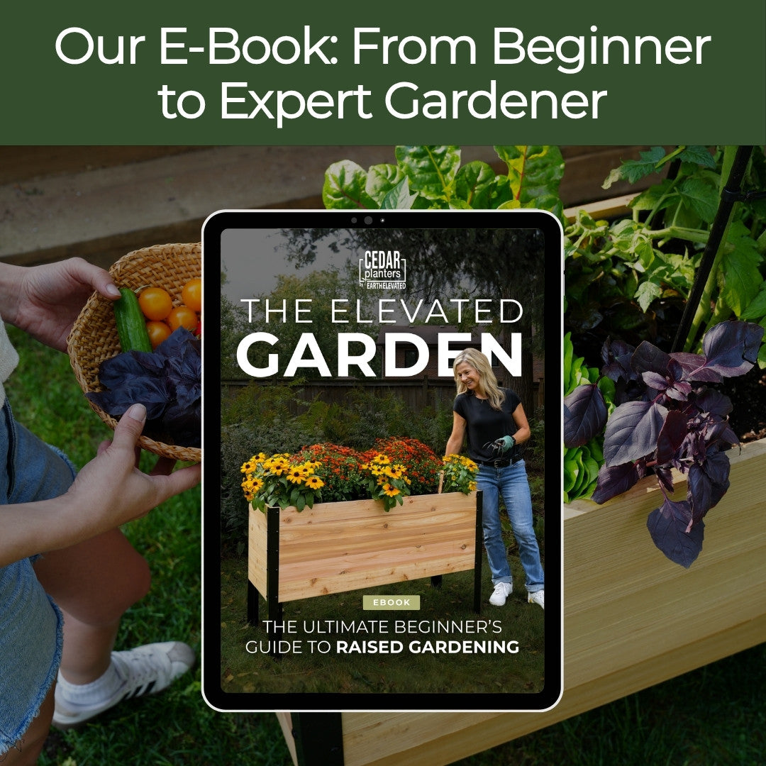18" x 36" Raised Garden Bed + Sleeve Feet + Olla Pot + E-Book - Bundle